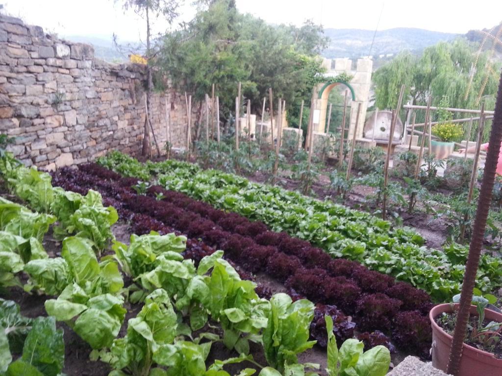 Las Bodegas De Claveria El Humo de Muro Luaran gambar